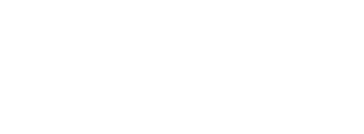 Legal Services & Strategies